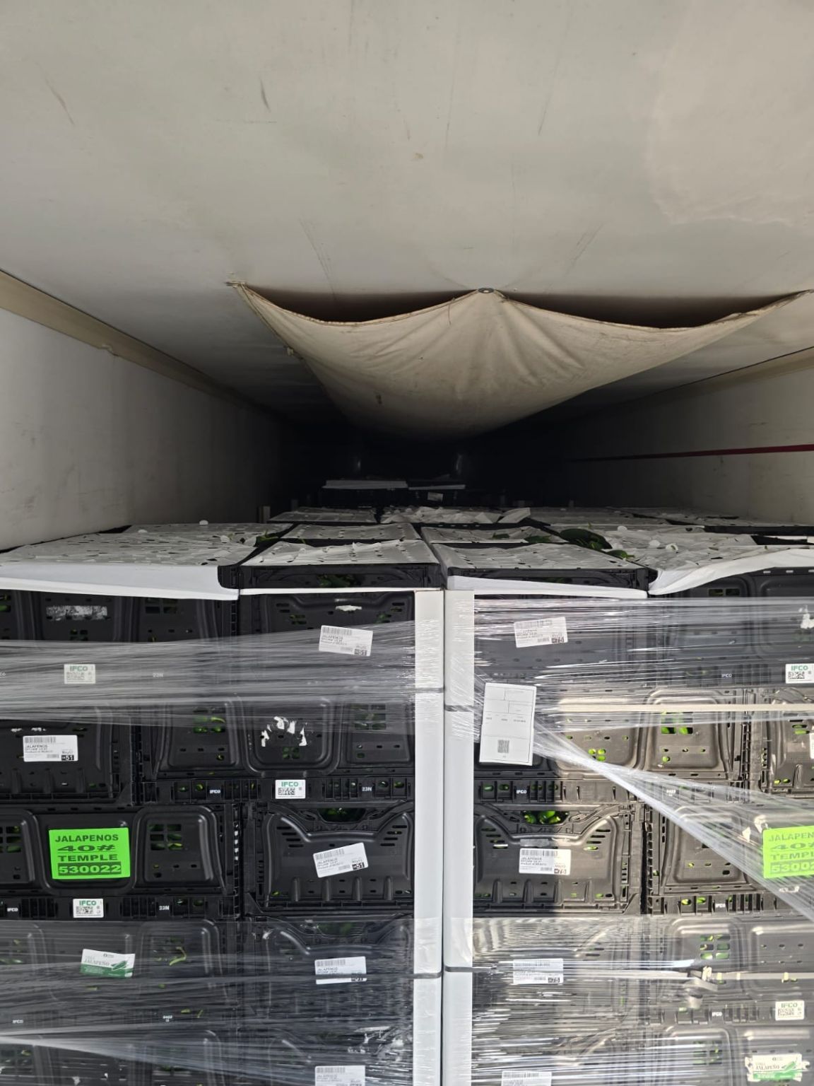 Jalapeño crates secured inside refrigerated reefer trailer