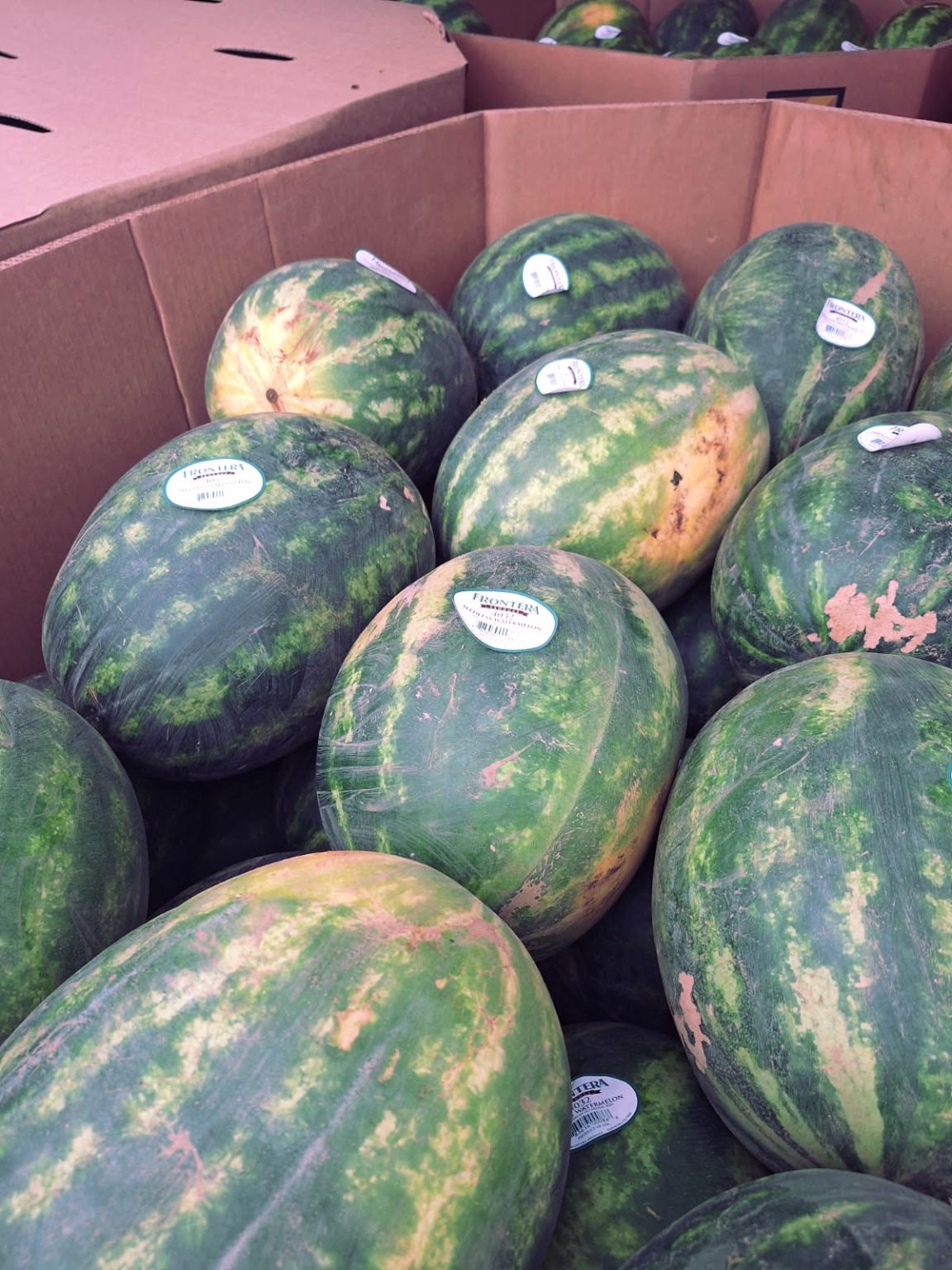 Fresh watermelons staged for produce freight