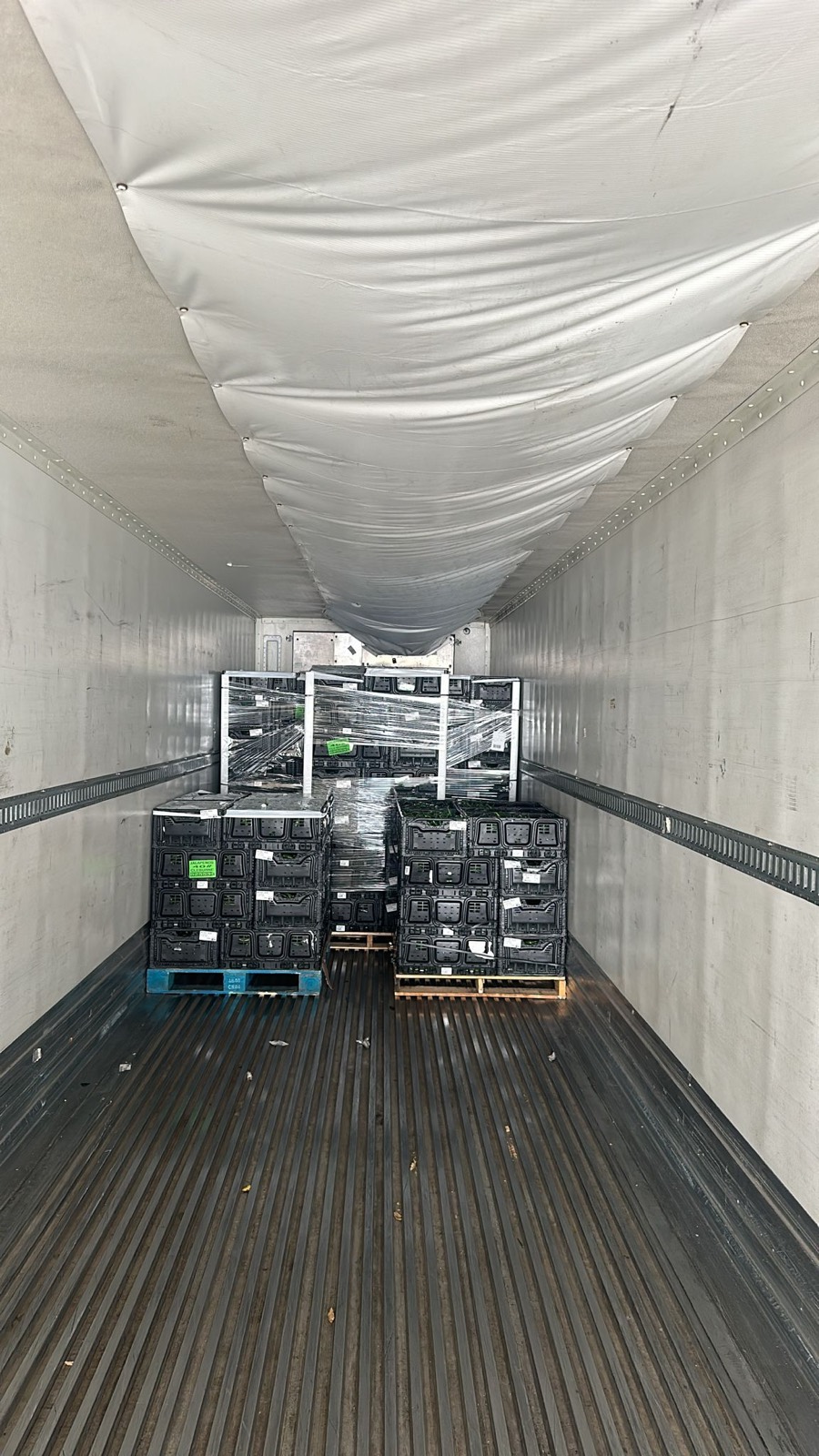 Produce crates staged inside a refrigerated trailer